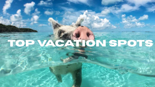 Adicora’s Vacation Guide